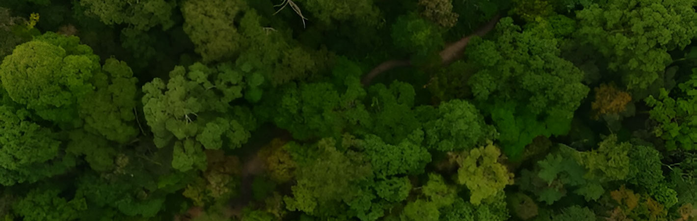 البصمة الكربونية للمنتجات وفقًا للمواصفة ISO 14067